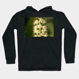 slb a bundle Hoodie